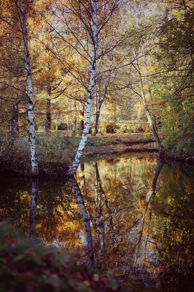Photograph by Анна Столбова