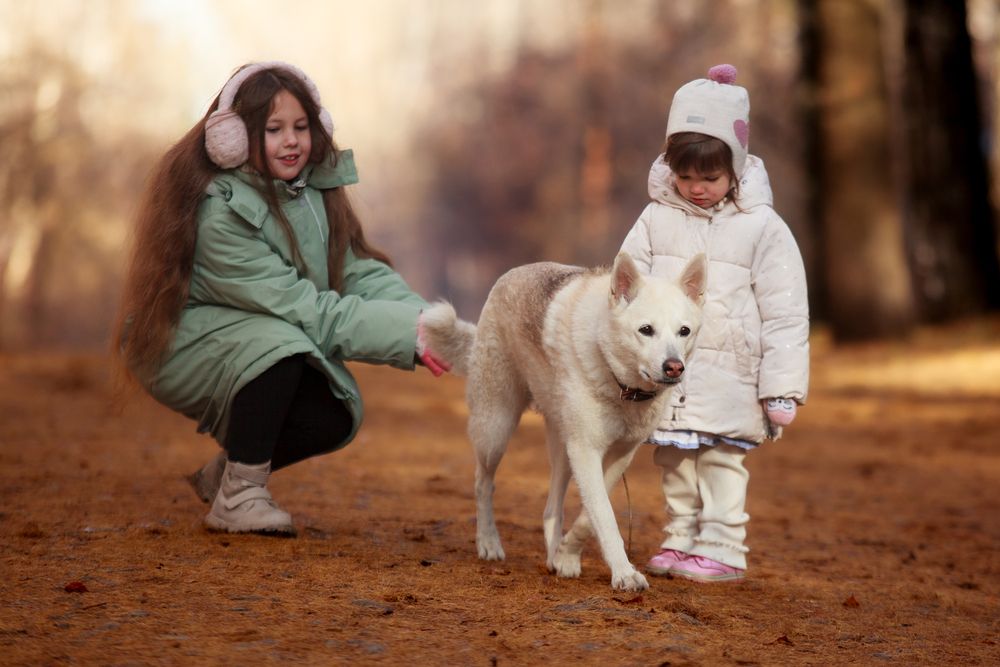 Photograph by Алена Коноваленкова