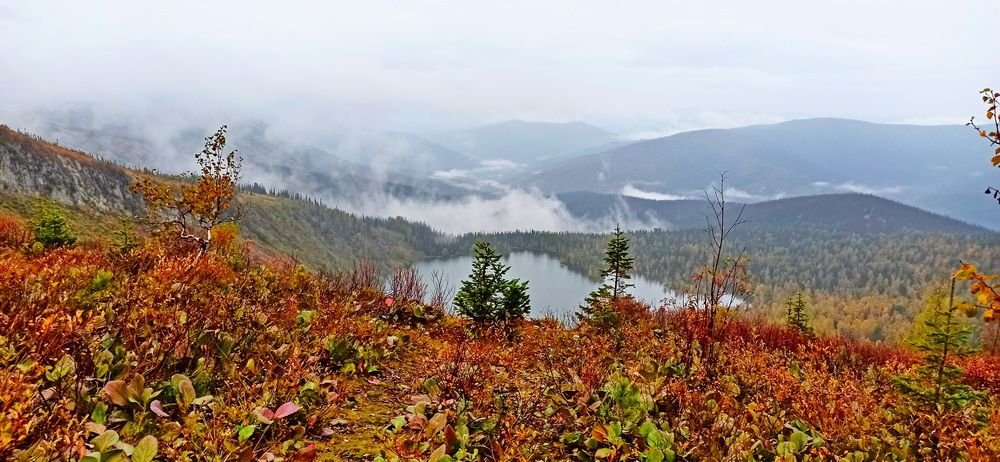 Фотография автора Сергей Тимофеев