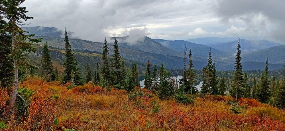 Фотография автора Сергей Тимофеев