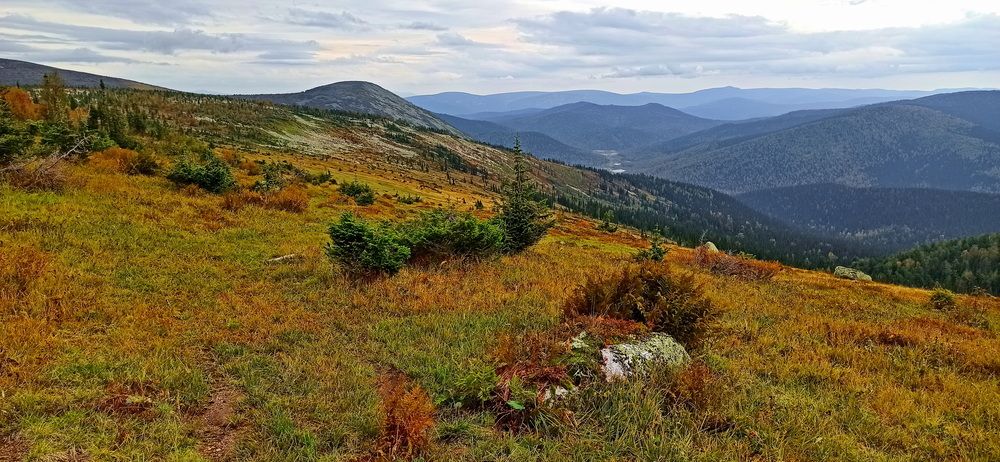 Фотография автора Сергей Тимофеев