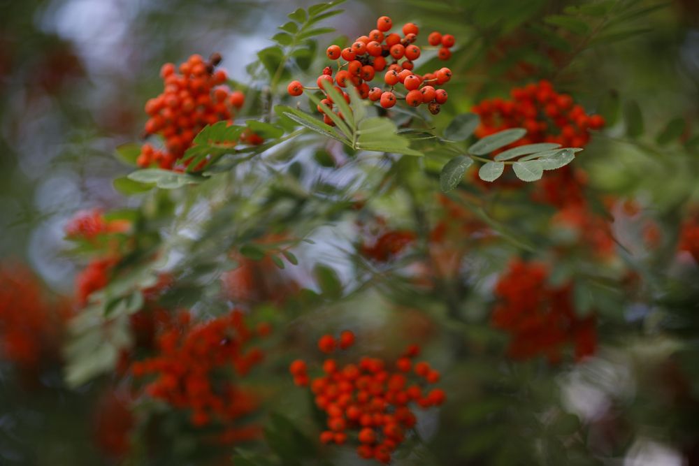 Photograph by Максим Мураков