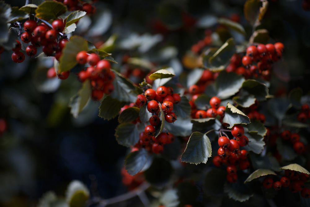 Photograph by Максим Мураков