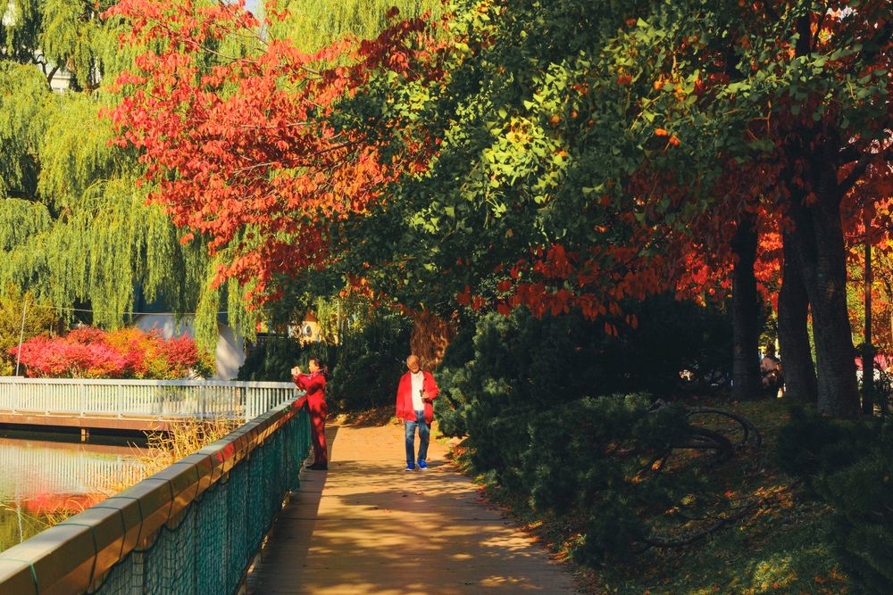 Фотография автора Kevin Christonar