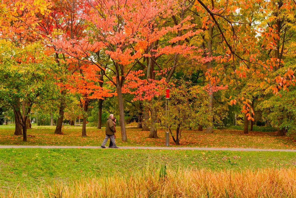 Фотография автора Kevin Christonar