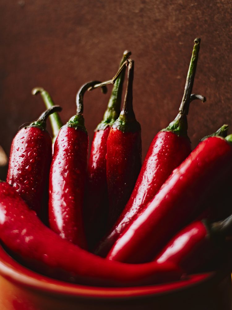 Photograph by NADER AYMAN