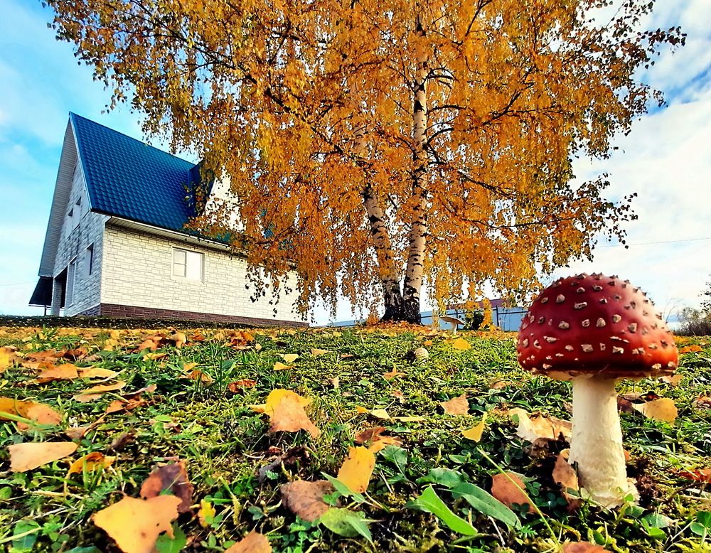 Photograph by Александр Лазебник