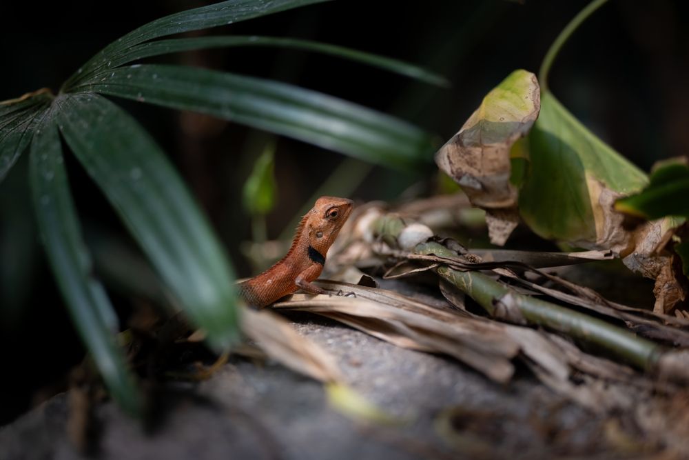 Photograph by Николай Фонарёв