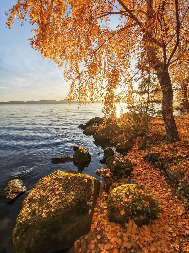 Photograph by Василий Яковлев