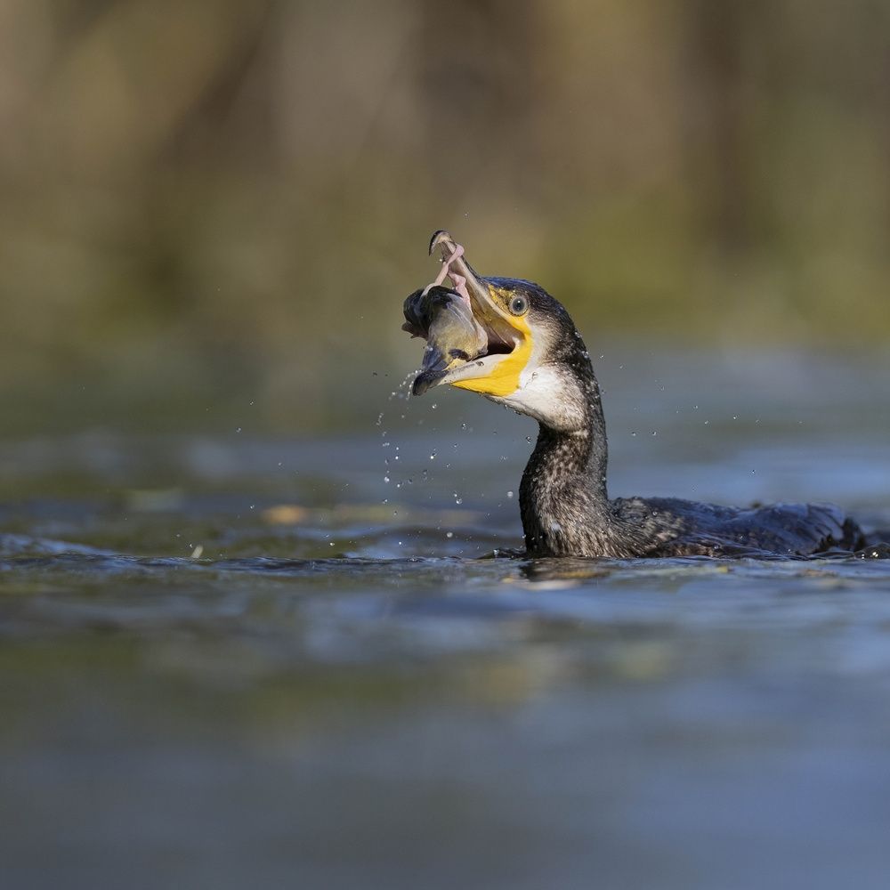 Photograph by Hubert Mielnik