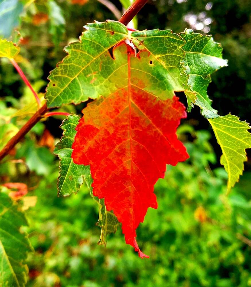 Photograph by Ольга Юрченко