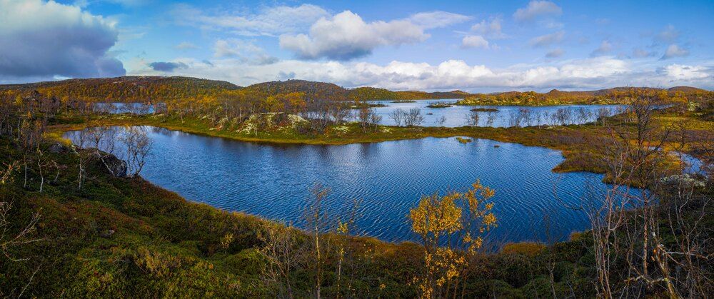 Фотография автора Александр Довганюк