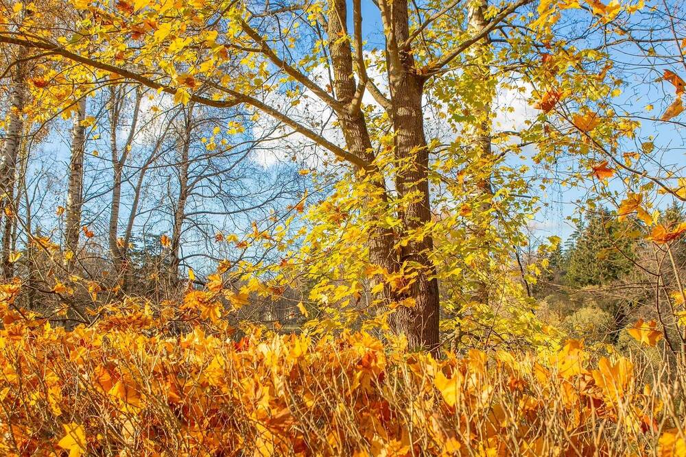 Photograph by Александр Леонтьев