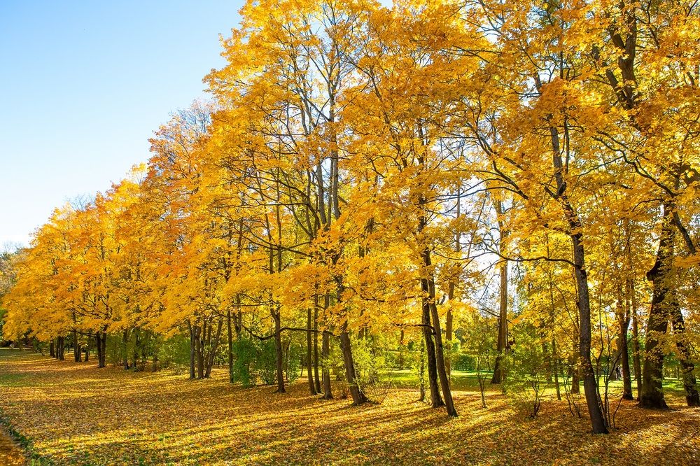 Photograph by Александр Леонтьев