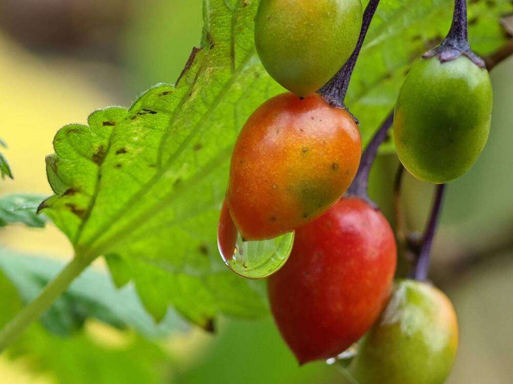 Photograph by Alexandr Gorelenkov