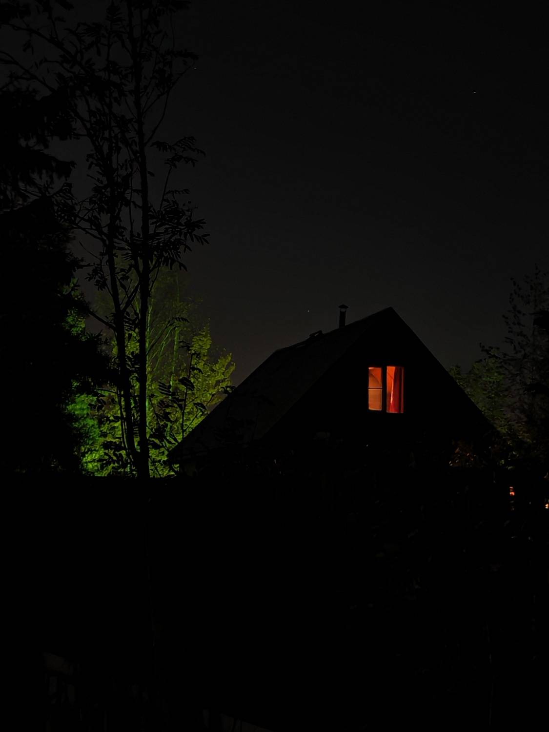 Photo #12762437