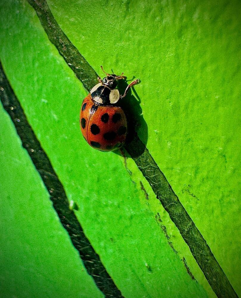 Photograph by Ксения Юртаева