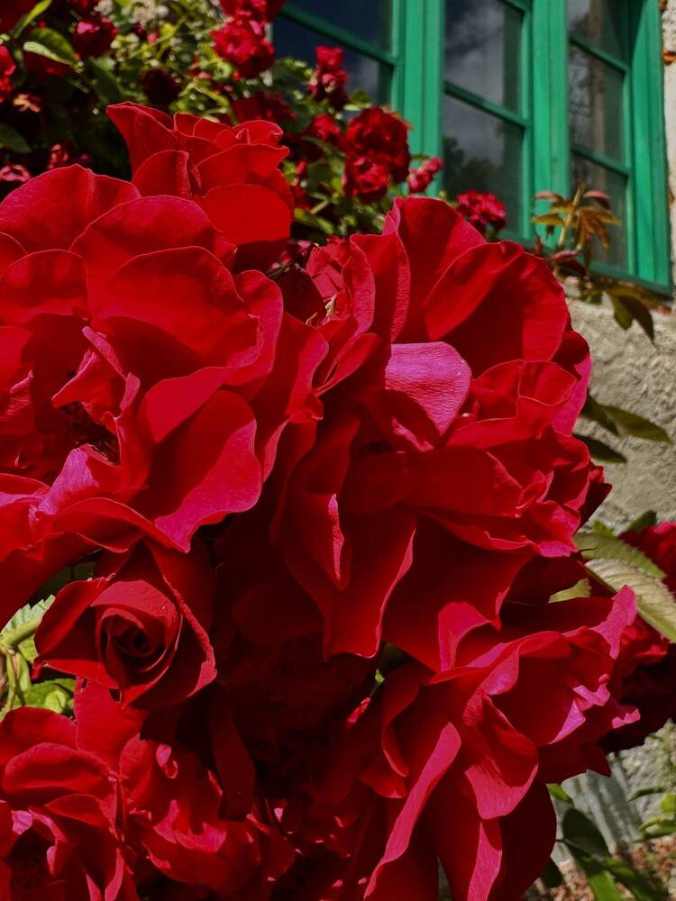 Photograph by Ксения Юртаева