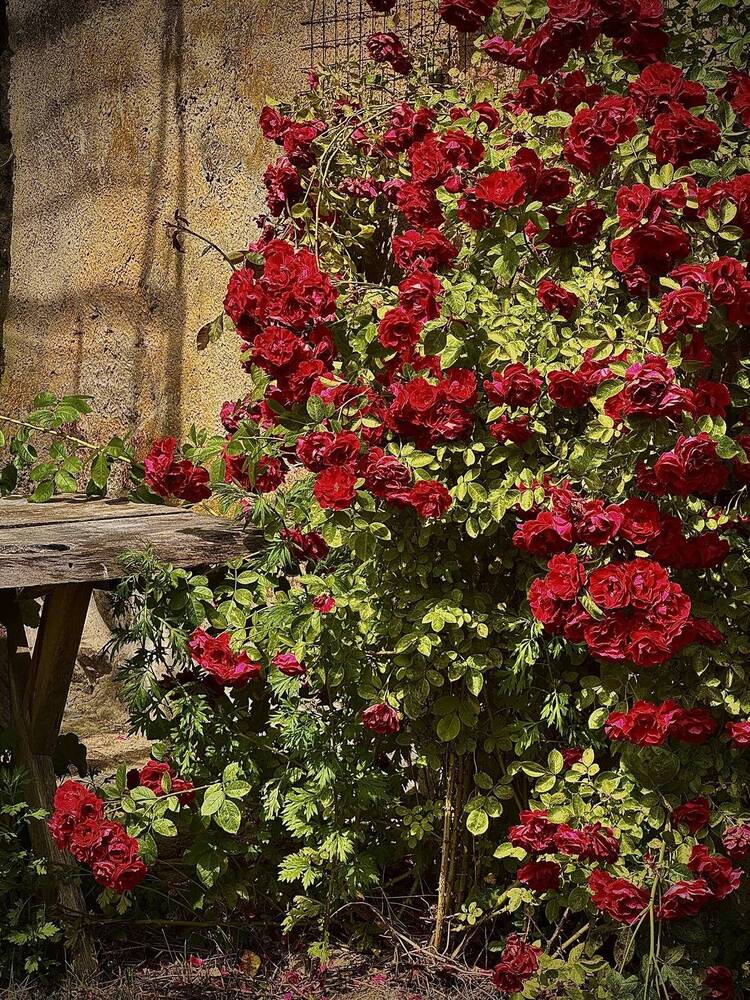 Photograph by Ксения Юртаева