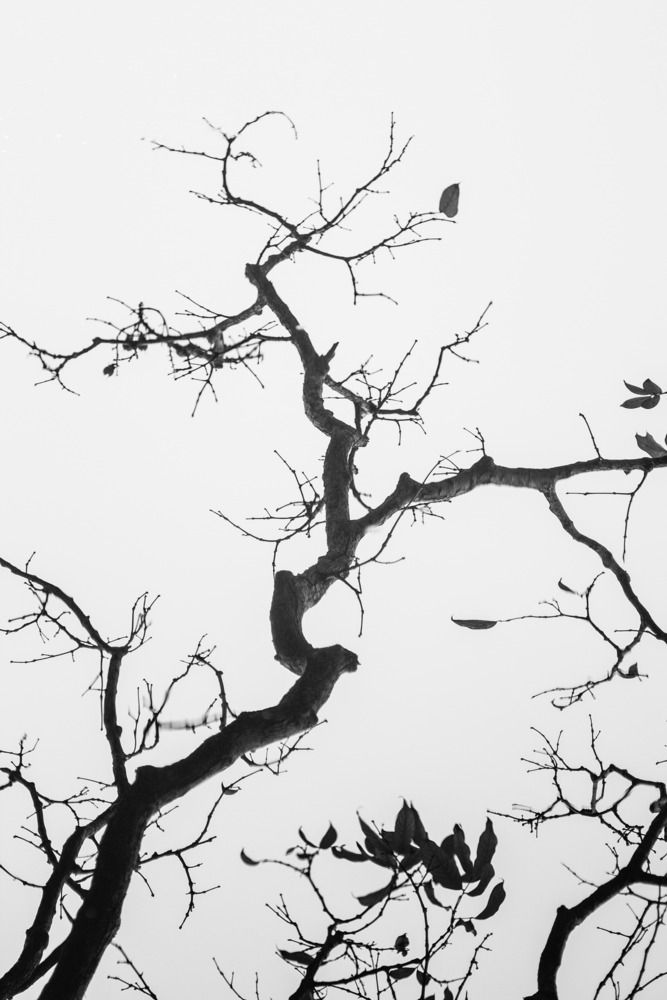 Photograph by TK NM