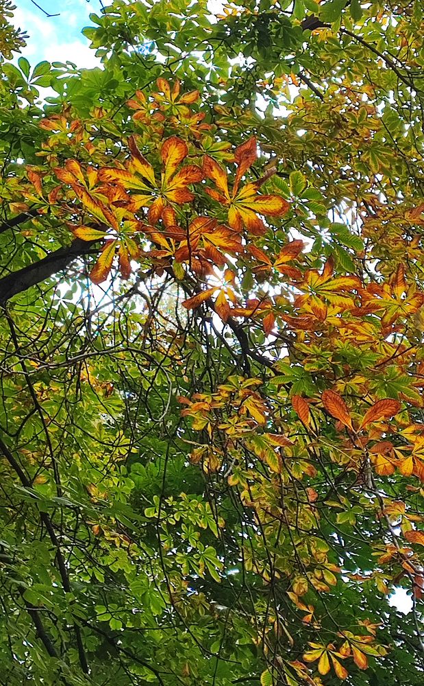 Photograph by Елена Юдина