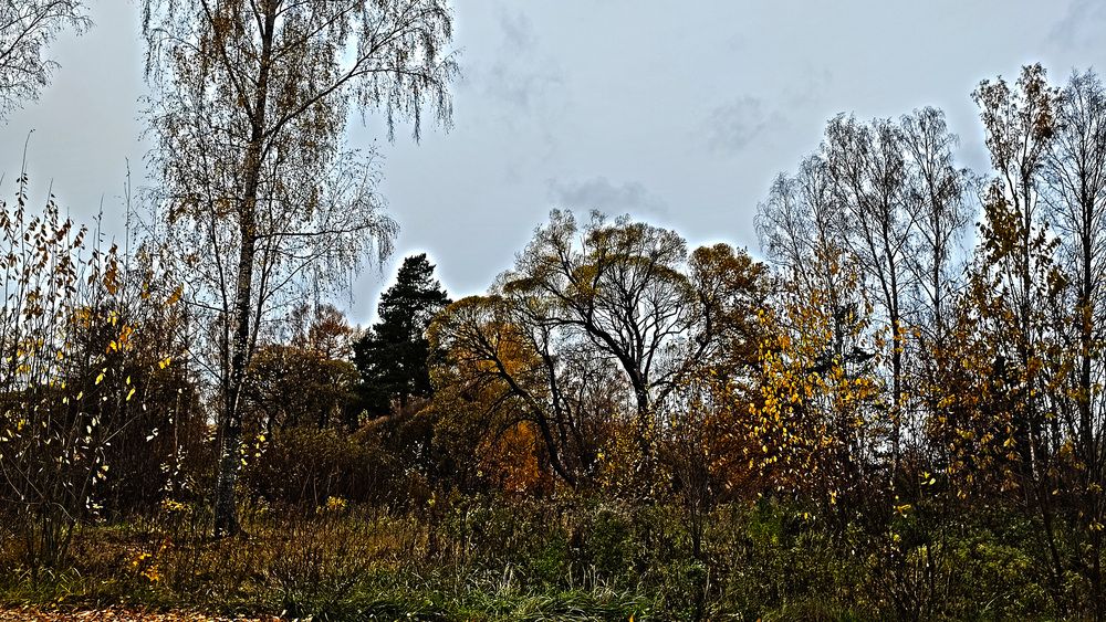 Photograph by Елена Юдина