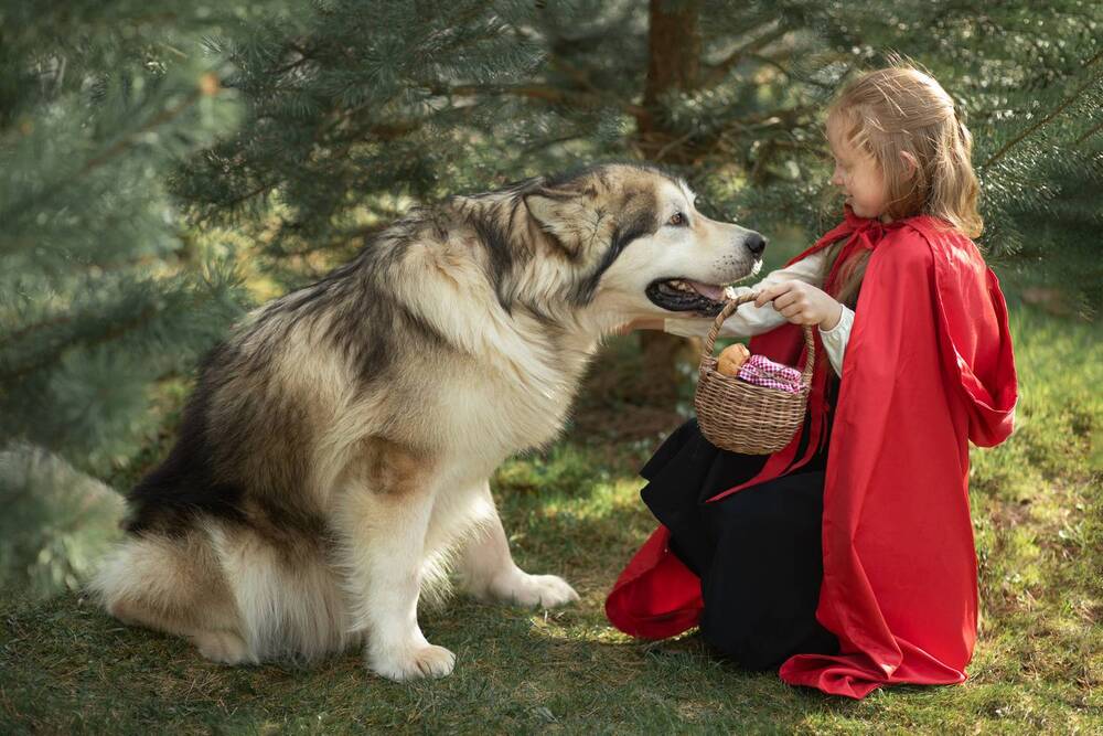 Photograph by Алена Самсонова