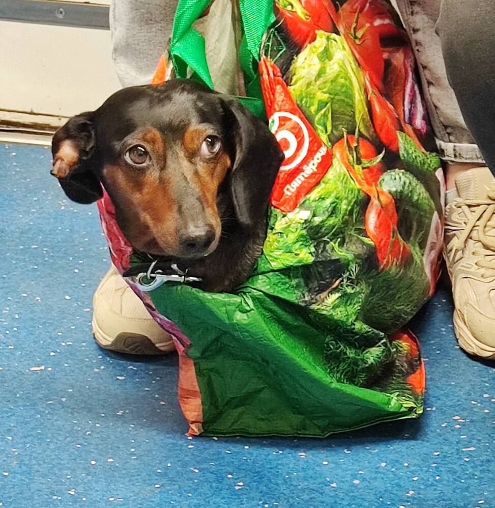 Photograph by Елена Юдина