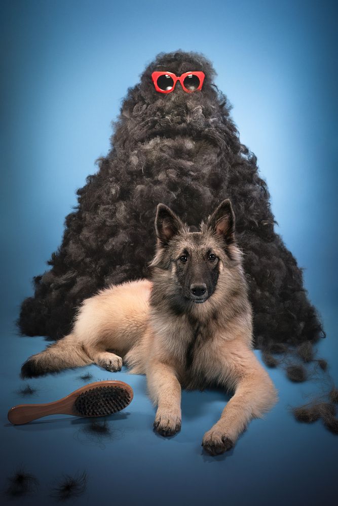 Fur monster