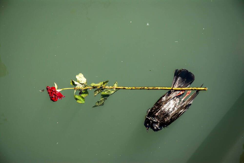 Photograph by Вячеслав ИВАНОВ