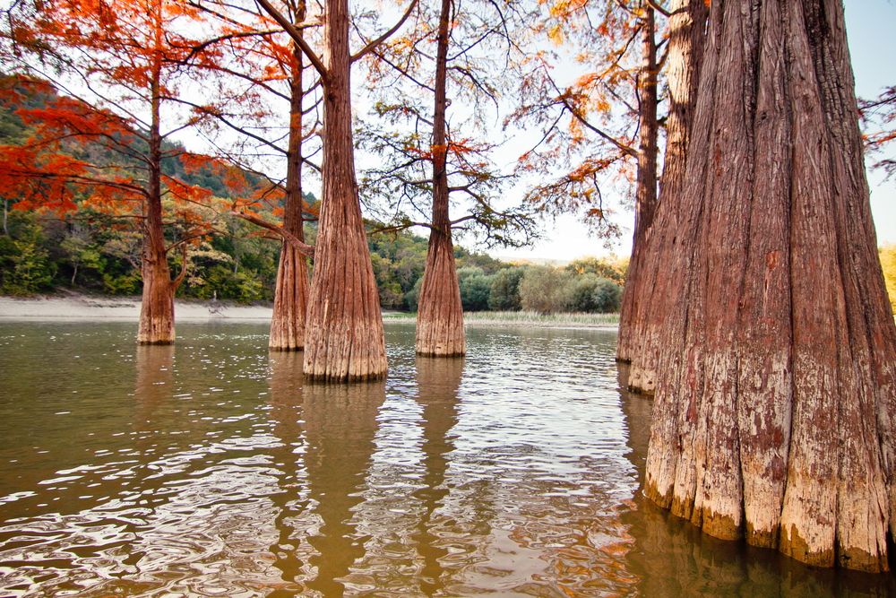Photograph by Александр Перегоненко