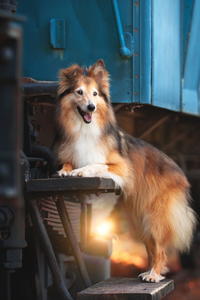 On the train