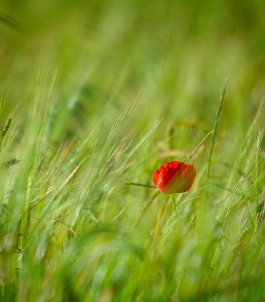 Photograph by Nicole Maria Wolff