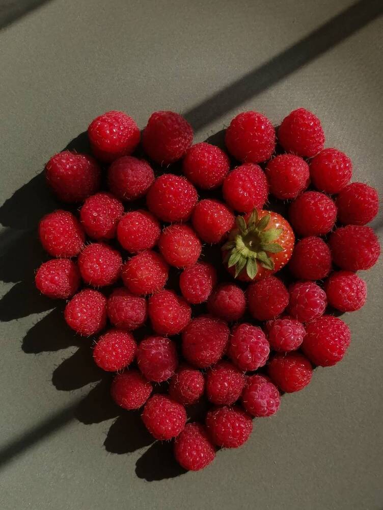 Photograph by Oxana Kostsova