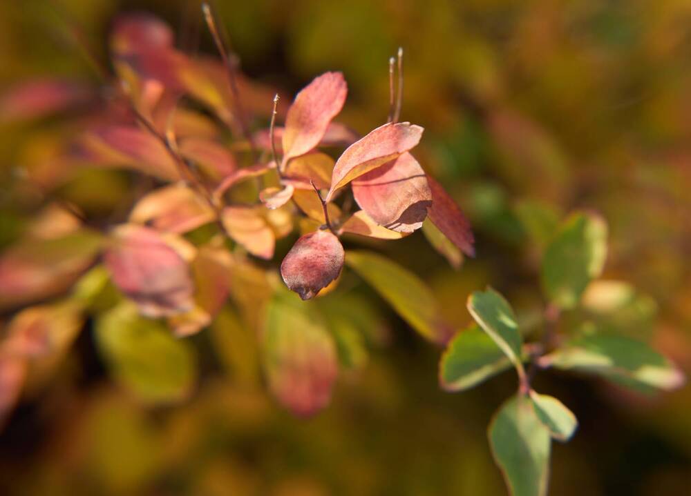 Photograph by Наталья Осипенко