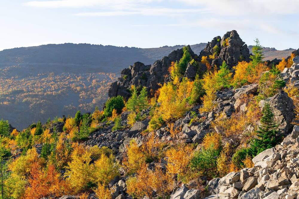 Photograph by Алексей Путилов