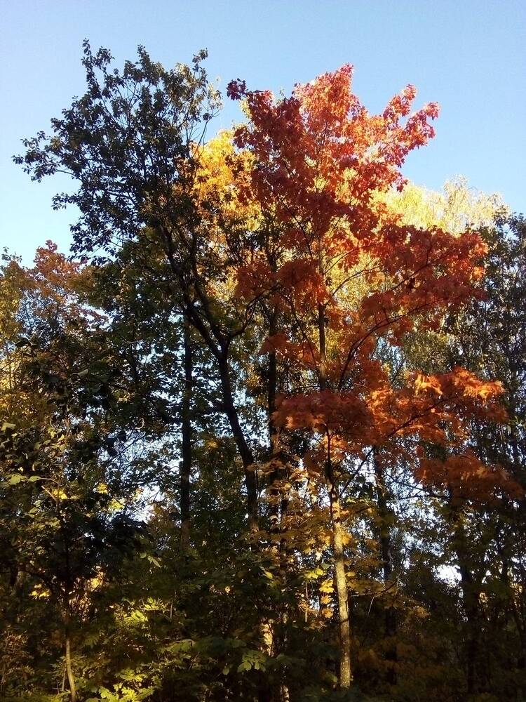 Photograph by Людмила Ковалева