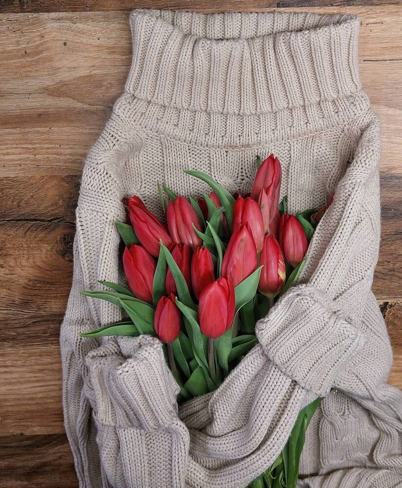 Photograph by Olga Ivancevič