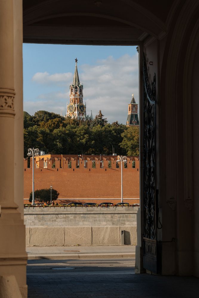 Фотография автора Дарья Чистякова