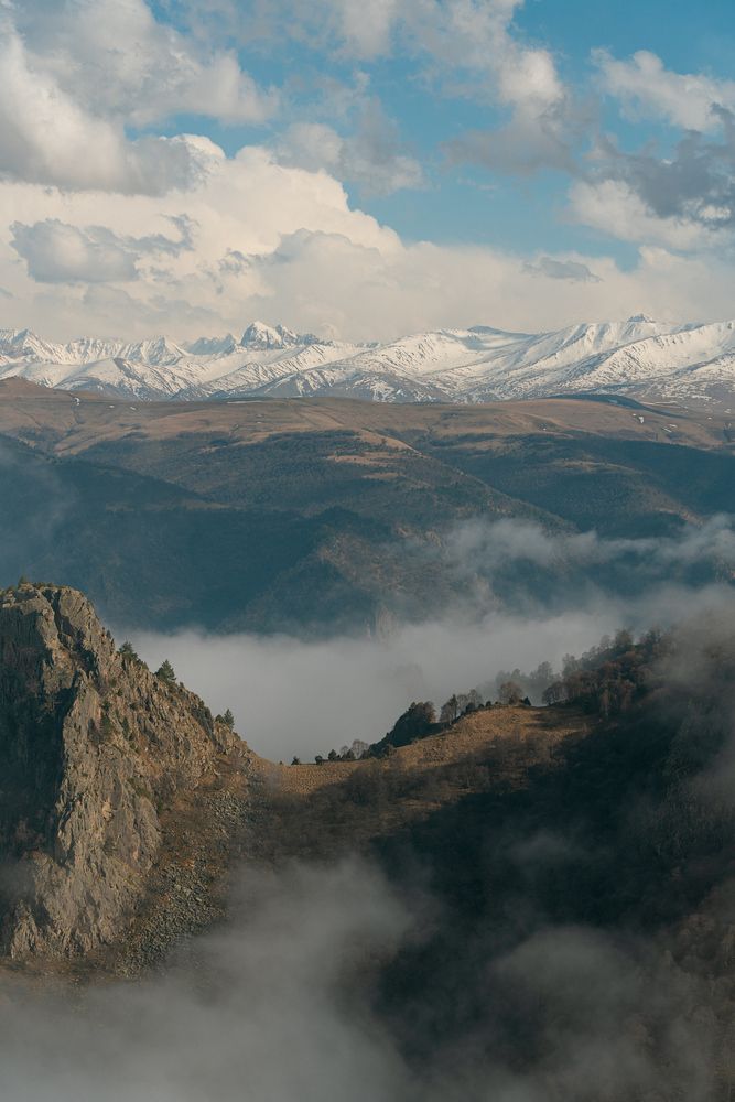 Фотография автора Дарья Чистякова