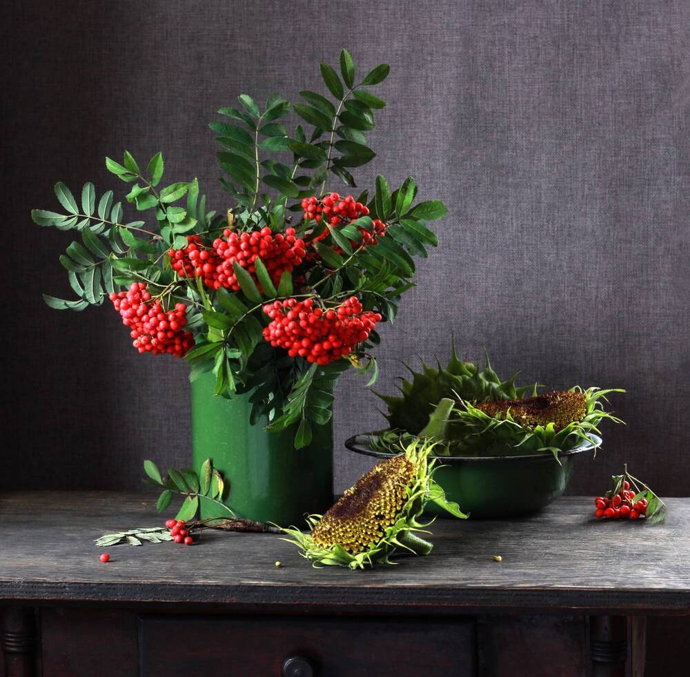 Photograph by Наталья Казанцева