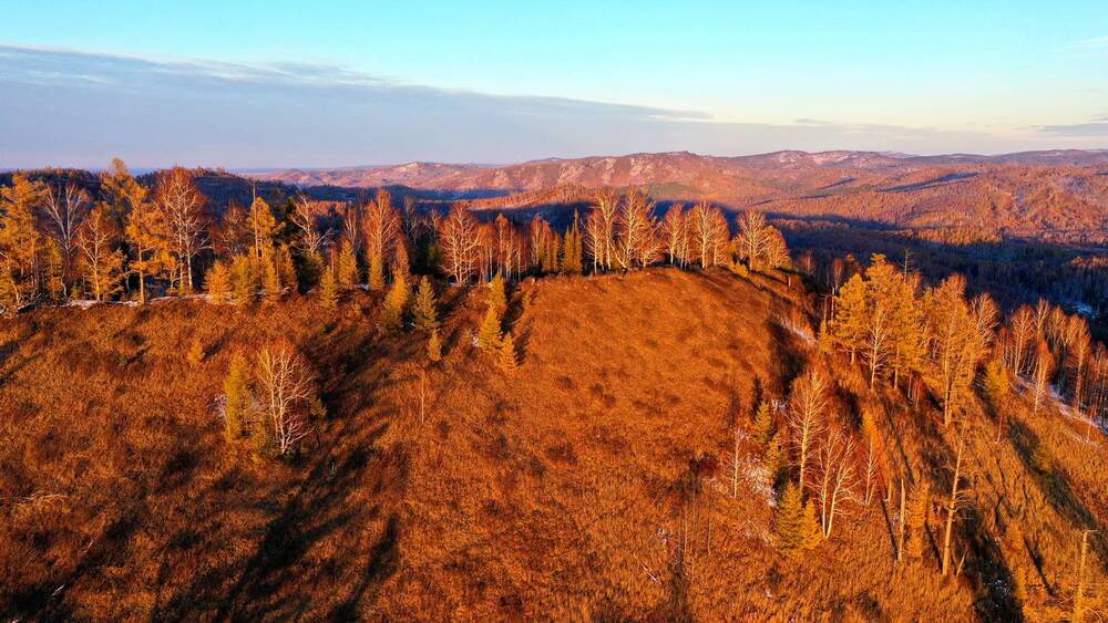 Фотография автора Сергей Тимофеев
