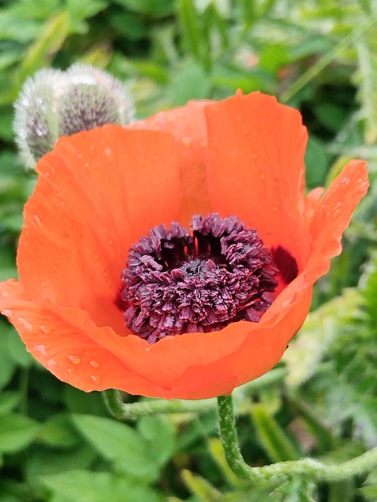 Photograph by Татьяна