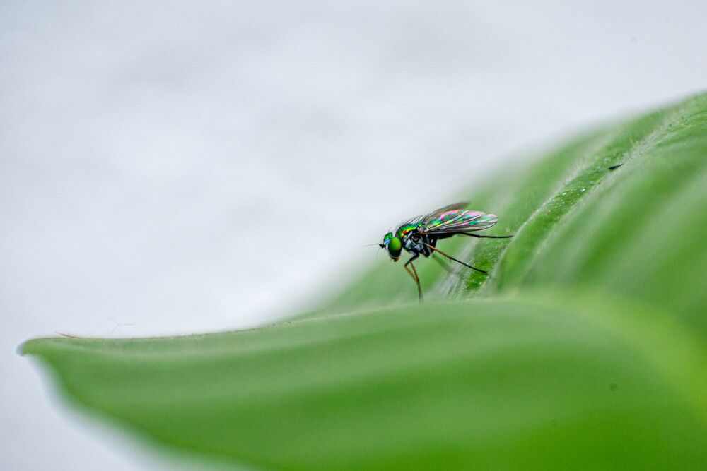 Photograph by Mariana Oliveira