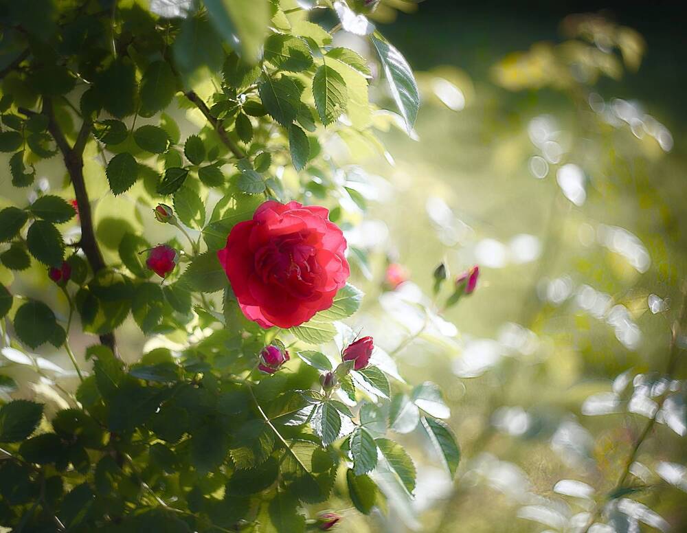 Photograph by Искандар Газизов