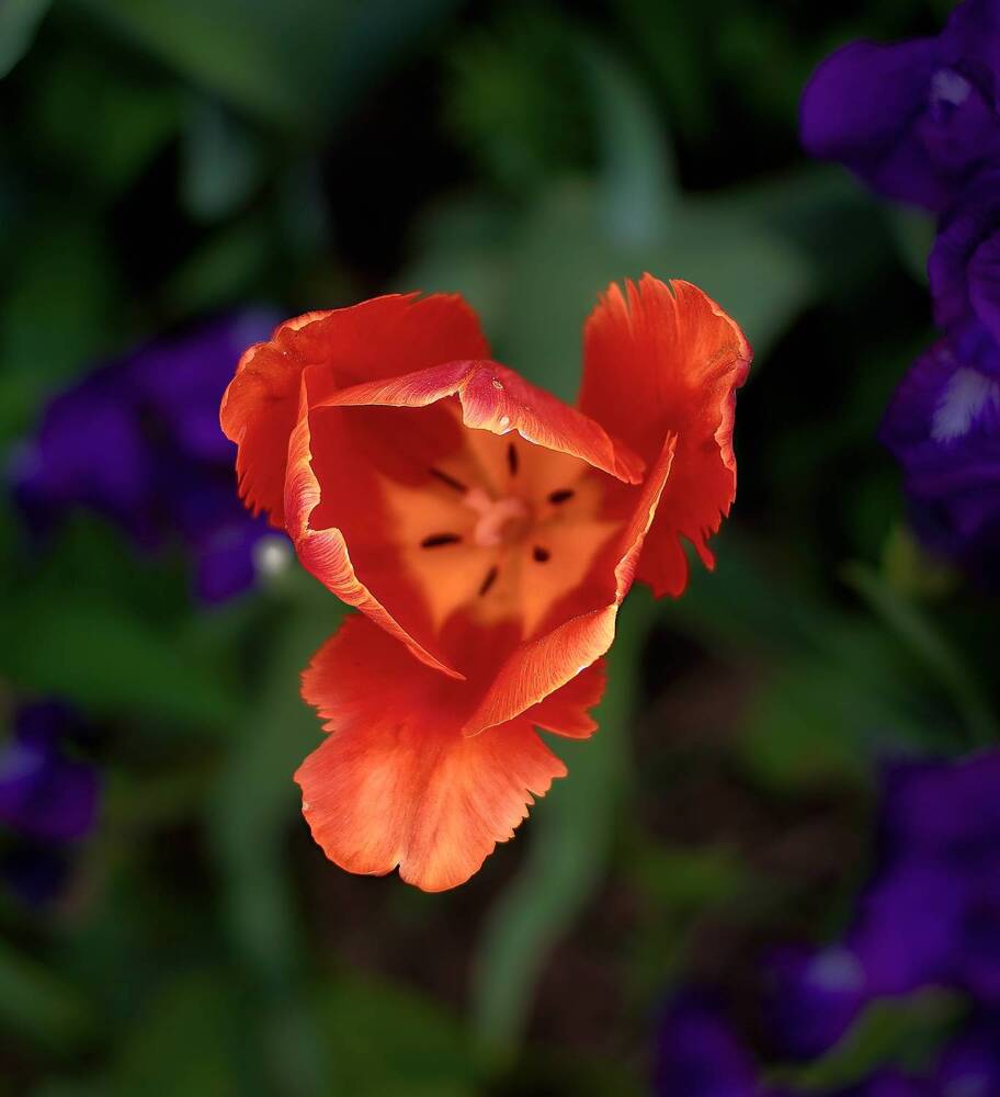 Photograph by Искандар Газизов