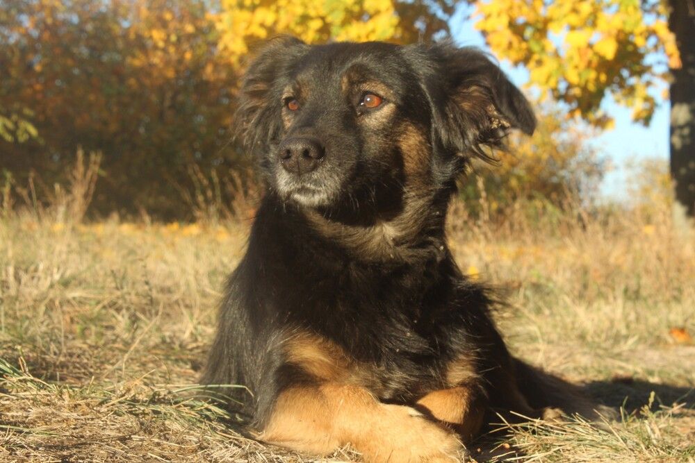 Photograph by Любовь Войводич