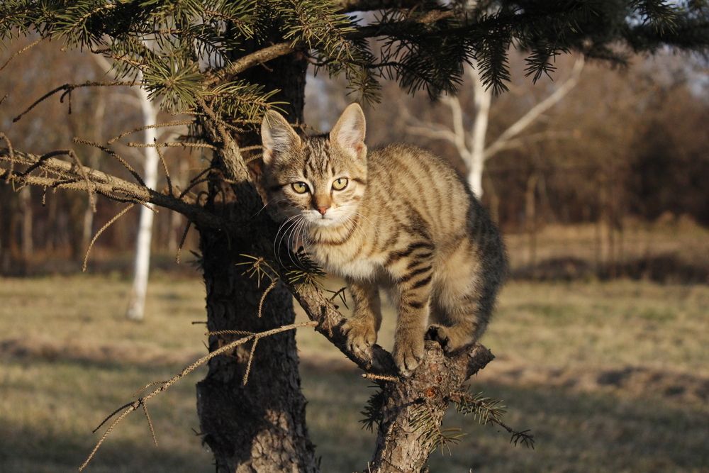 Photograph by Любовь Войводич