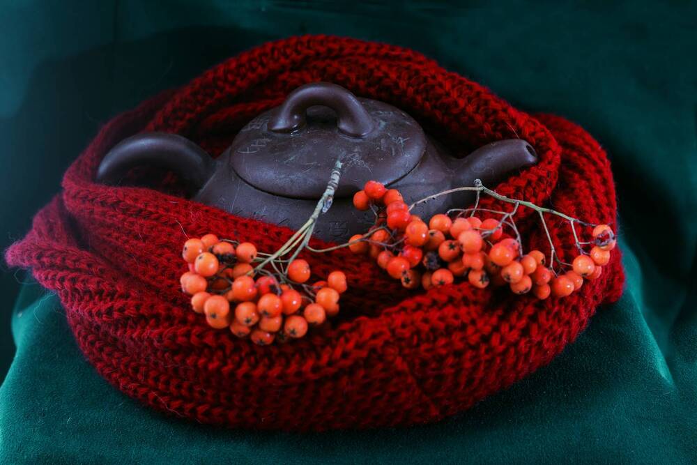 Фотография автора Елена Попова