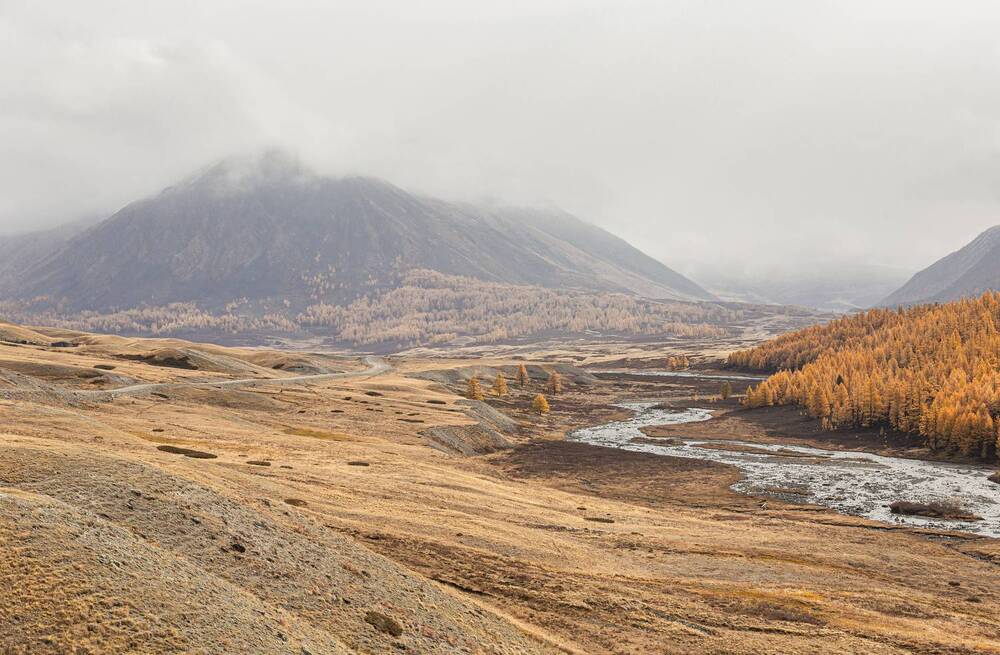 Photograph by Елена Павлова